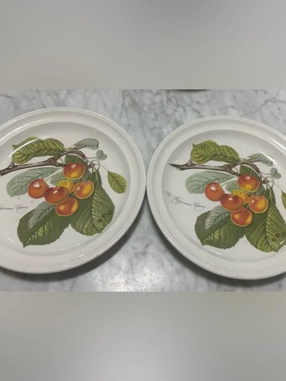 Portmeirion Cherry Branch Dinner Plates - White with Orange and Green